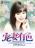 宠妻小说全集